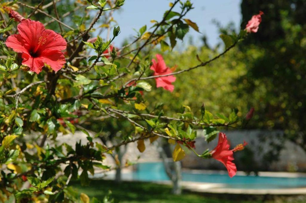 Villa Martha 스페체스 외부 사진